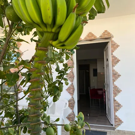 Tassos-haus Semesterbostad