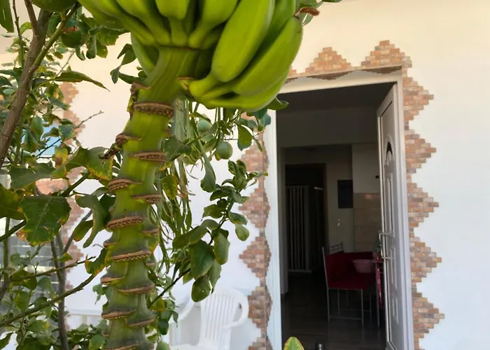 Tassos-haus Semesterbostad